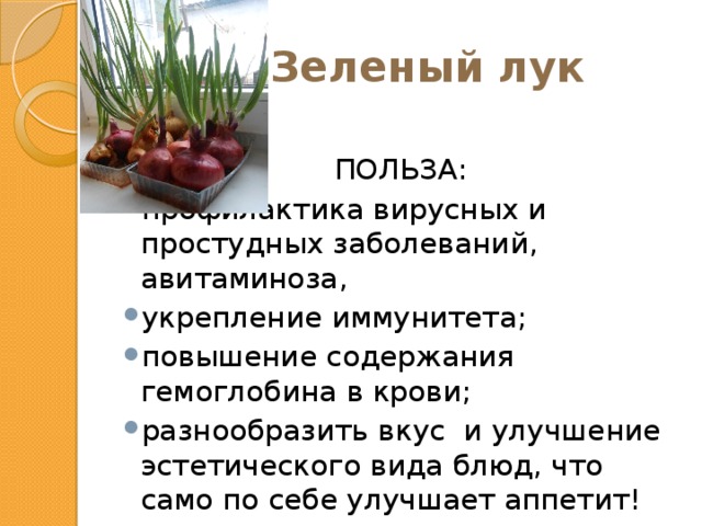  Зеленый лук ПОЛЬЗА: профилактика вирусных и простудных заболеваний, авитаминоза, укрепление иммунитета; повышение содержания гемоглобина в крови; разнообразить вкус и улучшение эстетического вида блюд, что само по себе улучшает аппетит! 