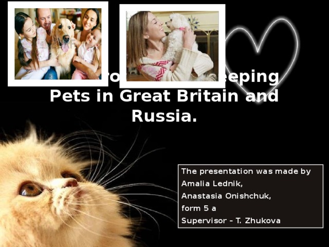 The problems of keeping Pets in Great Britain and Russia. The presentation was made by Amalia Lednik, Anastasia Onishchuk, form 5 a Supervisor – T. Zhukova   