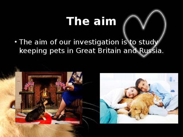 The aim The aim of our investigation is to study keeping pets in Great Britain and Russia. 