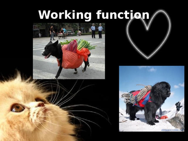 Working function   