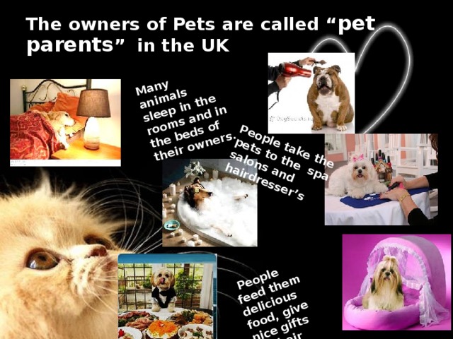 The owners of Pets are called “ pet parents ” in the UK Many animals sleep in the rooms and in the beds of their owners.  People feed them delicious food, give nice gifts to their pets. People take the pets to the spa salons and hairdresser’s 