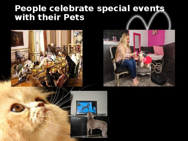  People celebrate special events with their Pets   