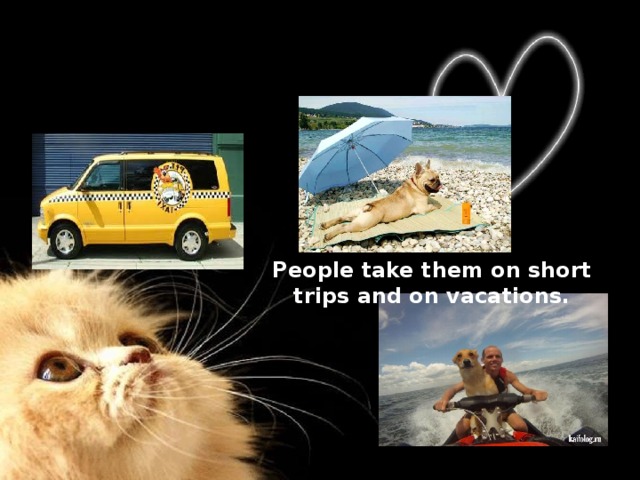 People take them on short trips and on vacations. 