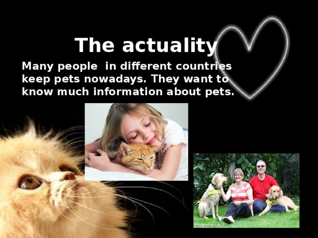 The actuality Many people in different countries keep pets nowadays. They want to know much information about pets. 