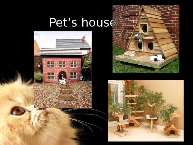  Pet’s houses 