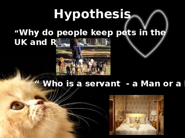 Hypothesis   “ Why do people keep pets in the UK and Russia?” “ Who is a servant - a Man or a Pet?” 