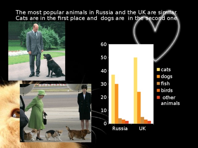 The most popular animals in Russia and the UK are similar. Cats are in the first place and dogs are in the second one.   