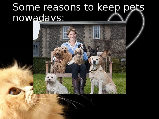 Some reasons to keep pets nowadays:   