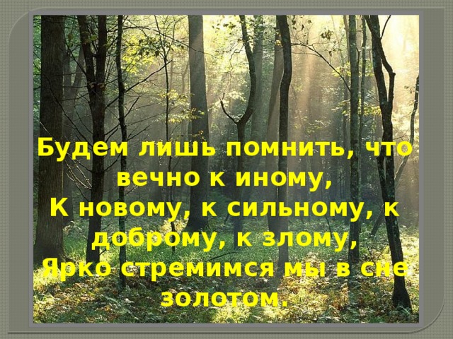 Будем лишь помнить, что вечно к иному,  К новому, к сильному, к доброму, к злому,  Ярко стремимся мы в сне золотом.   
