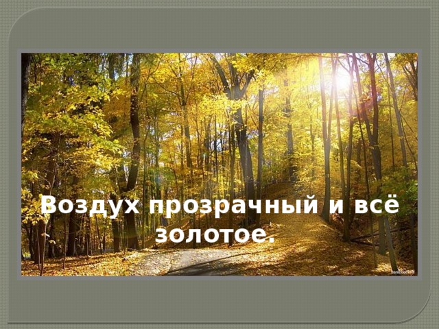 Воздух прозрачный и всё золотое. 