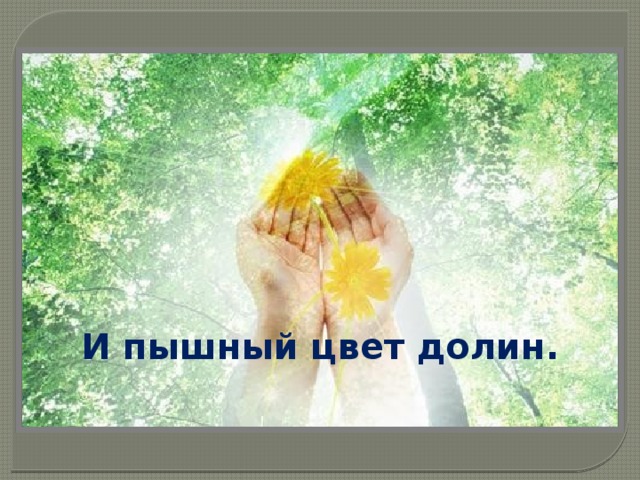 И пышный цвет долин. 