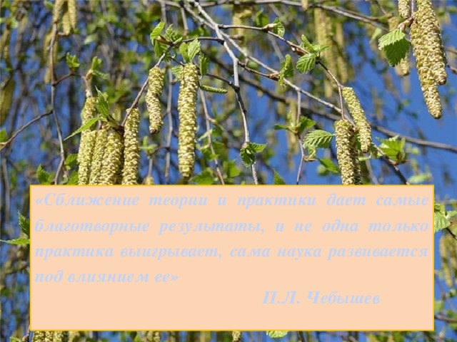 «Сближение теории и практики дает самые благотворные результаты, и не одна только практика выигрывает, сама наука развивается под влиянием ее»  П.Л. Чебышев 