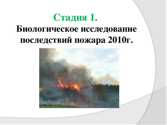 Стадия 1.  Биологическое исследование последствий пожара 2010г.   