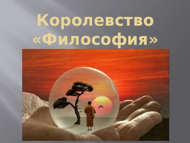 Королевство «Философия» 