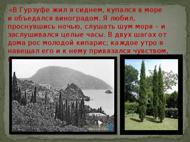  «В Гурзуфе жил я сиднем, купался в море и объедался виноградом. Я любил, проснувшись ночью, слушать шум моря – и заслушивался целые часы. В двух шагах от дома рос молодой кипарис; каждое утро я навещал его и к нему привязался чувством, похожим на дружество» 