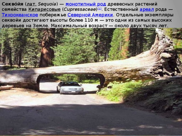 Секво́йя  ( лат.   Sequoia ) —  монотипный род  древесных растений семейства  Кипарисовые  ( Cupressaceae ) [1] . Естественный  ареал  рода —  Тихоокеанское  побережье  Северной Америки . Отдельные экземпляры секвойи достигают высоты более 110 м — это одни из самых высоких деревьев на Земле. Максимальный возраст — около двух тысяч лет. 
