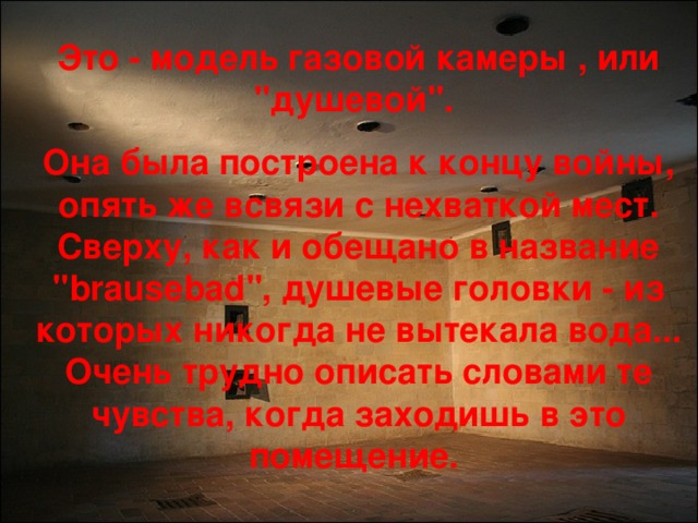 Это - модель газовой камеры , или 