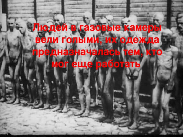 Людей в газовые камеры вели голыми, их одежда предназначалась тем, кто мог еще работать 