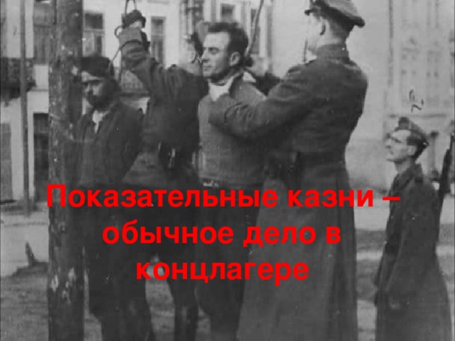 Показательные казни – обычное дело в концлагере 