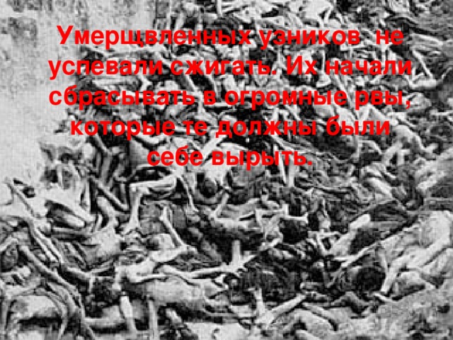 Умерщвленных узников не успевали сжигать. Их начали сбрасывать в огромные рвы, которые те должны были себе вырыть. 