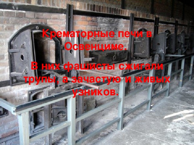 Крематорные печи в Освенциме. В них фашисты сжигали трупы, а зачастую и живых узников. 