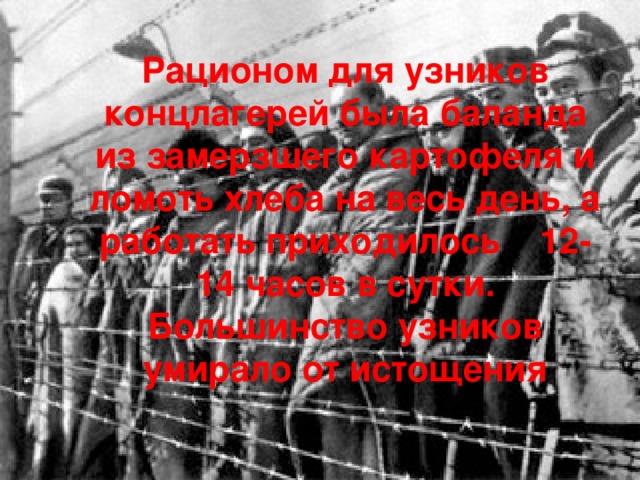 Рационом для узников концлагерей была баланда из замерзшего картофеля и ломоть хлеба на весь день, а работать приходилось 12-14 часов в сутки. Большинство узников умирало от истощения 