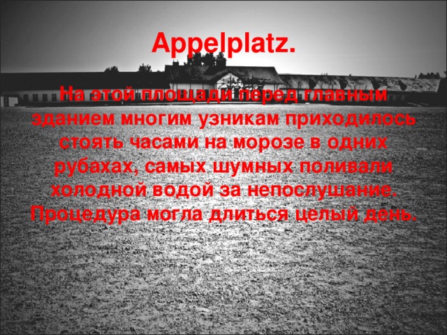 Appelplatz . На этой площади перед главным зданием многим узникам приходилось стоять часами на морозе в одних рубахах, самых шумных поливали холодной водой за непослушание. Процедура могла длиться целый день. 