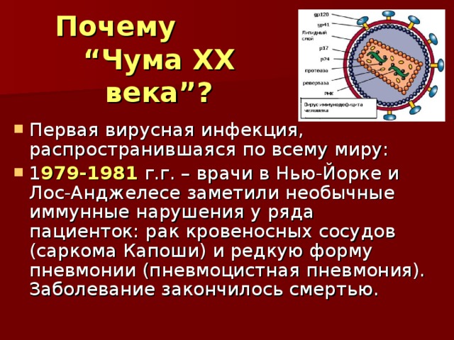 Почему “Чума XX века”? Первая вирусная инфекция, распространившаяся по всему миру: 1 979-1981 г.г. – врачи в Нью-Йорке и Лос-Анджелесе заметили необычные иммунные нарушения у ряда пациенток: рак кровеносных сосудов (саркома Капоши) и редкую форму пневмонии (пневмоцистная пневмония). Заболевание закончилось смертью. 