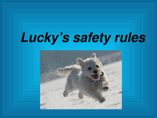 Lucky’s safety rules  