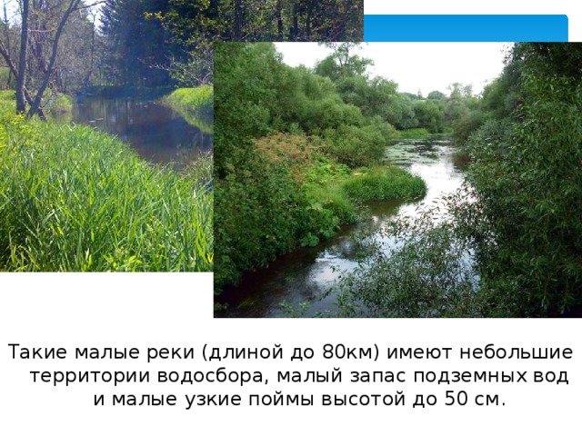 Такие малые реки (длиной до 80км) имеют небольшие территории водосбора, малый запас подземных вод и малые узкие поймы высотой до 50 см. 