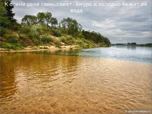 К осени река свинцовеет. Хмуро и холодно бежит её вода. 