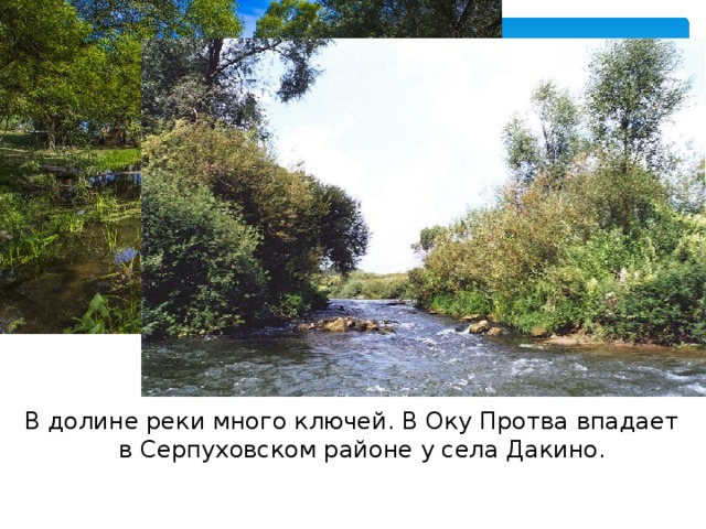 В долине реки много ключей. В Оку Протва впадает в Серпуховском районе у села Дакино. 