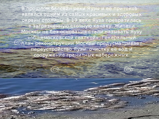 В прошлом бассейн реки Яузы и её притоков являлся одним из самых красивых и здоровых окраин столицы. В 19 веке Яуза превратилась в загрязненную сточную канаву. Жители Москвы не без основания стали называть Яузу «общемосковской свалкой». Генеральный план реконструкции Москвы предусматривает переустройство Яузы, очистку её вод и сооружение гранитных набережных. 