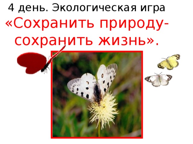 4 день. Экологическая игра  «Сохранить природу- сохранить жизнь».