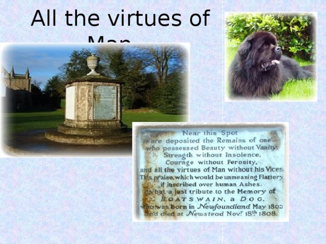 All the virtues of Man…