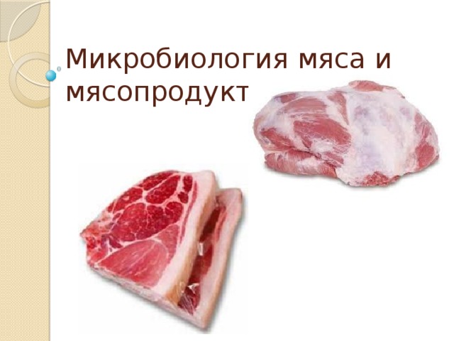 Микробиология мяса и мясопродуктов. 