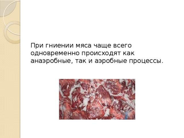 При гниении мяса чаще всего одновременно происходят как анаэробные, так и аэробные процессы. 