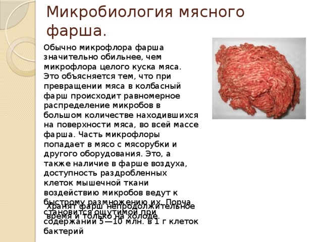 Микробиология мясного фарша. Обычно микрофлора фарша значительно обильнее, чем микрофлора целого куска мяса. Это объясняется тем, что при превращении мяса в колбасный фарш происходит равномерное распределение микробов в большом количестве находившихся на поверхности мяса, во всей массе фарша. Часть микрофлоры попадает в мясо с мясорубки и другого оборудования. Это, а также наличие в фарше воздуха, доступность раздробленных клеток мышечной ткани воздействию микробов ведут к быстрому размножению их. Порча становится ощутимой при содержании 5—10 млн. в 1 г клеток бактерий Хранят фарш непродолжительное время и только на холоде. 