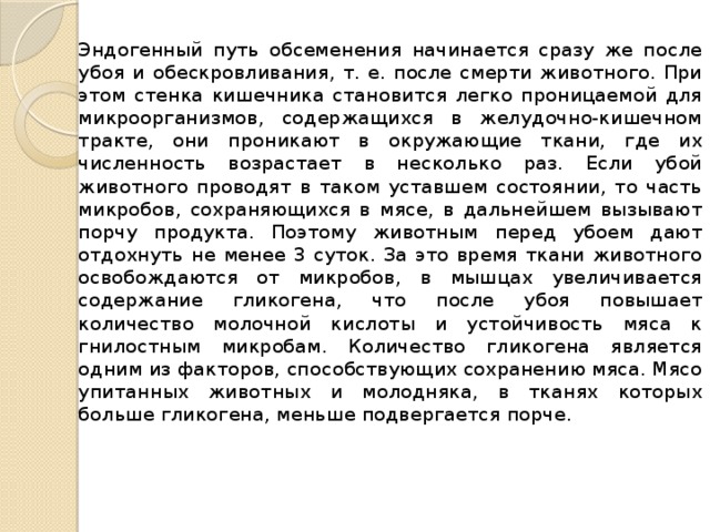 Эндогенный путь обсеменения начинается сразу же после убоя и обескровливания, т. е. после смерти животного. При этом стенка кишечника становится легко проницаемой для микроорганизмов, содержащихся в желудочно-кишечном тракте, они проникают в окружающие ткани, где их численность возрастает в несколько раз. Если убой животного проводят в таком уставшем состоянии, то часть микробов, сохраняющихся в мясе, в дальнейшем вызывают порчу продукта. Поэтому животным перед убоем дают отдохнуть не менее 3 суток. За это время ткани животного освобождаются от микробов, в мышцах увеличивается содержание гликогена, что после убоя повышает количество молочной кислоты и устойчивость мяса к гнилостным микробам. Количество гликогена является одним из факторов, способствующих сохранению мяса. Мясо упитанных животных и молодняка, в тканях которых больше гликогена, меньше подвергается порче. 