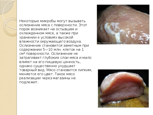 Некоторые микробы могут вызывать ослизнение мяса с поверхности. Этот порок возникает на остывшем и охлажденном мясе, а также при хранении е условиях высокой влажности окружающего воздуха. Ослизнение становится заметным при содержании 5—10 млн. клеток на 1 см 2  поверхности. Ослизнение не затрагивает глубокие слои мяса и мало влияет на его пищевую ценность, однако существенно ухудшает товарный вид. Мясо становится липким, меняется его цвет. Такое мясо реализации через магазины не подлежит. 