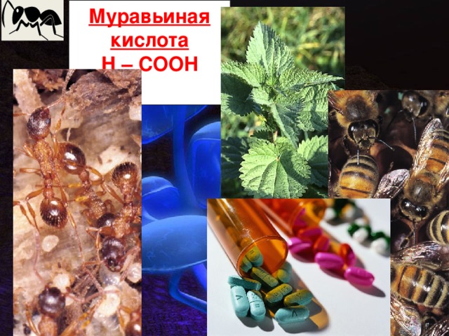 Муравьиная кислота Н – COOH  