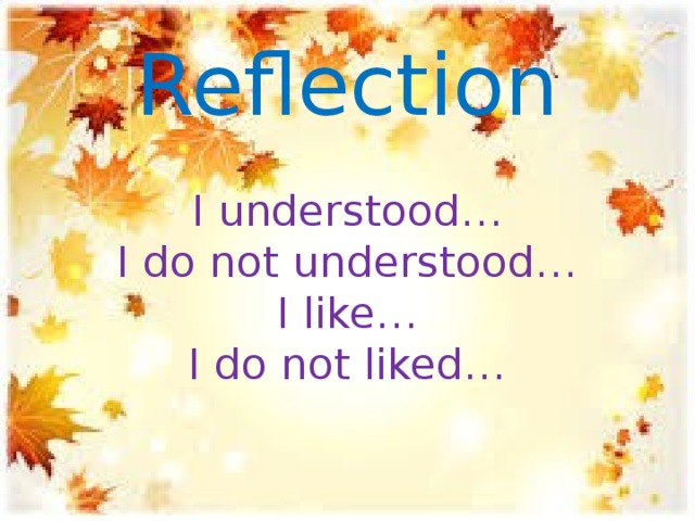 Reflection   I understood…  I do not understood…  I like…  I do not liked… 