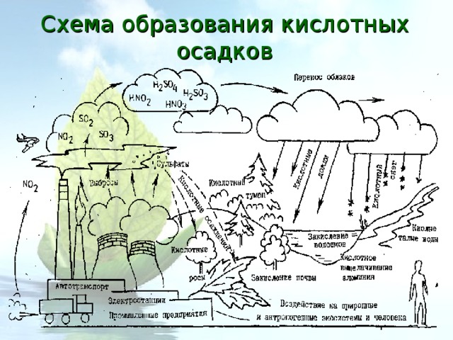 Схема образования кислотных осадков 