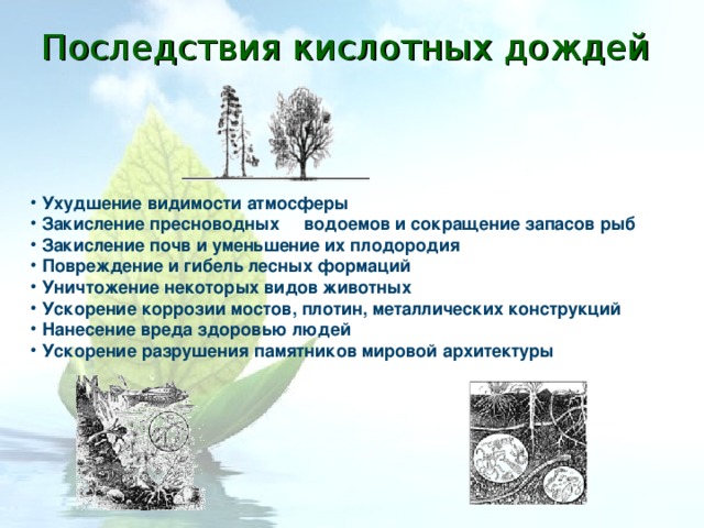 Последствия кислотных дождей  Ухудшение видимости атмосферы  Закисление пресноводных водоемов и сокращение запасов рыб  Закисление почв и уменьшение их плодородия  Повреждение и гибель лесных формаций  Уничтожение некоторых видов животных  Ускорение коррозии мостов, плотин, металлических конструкций  Нанесение вреда здоровью людей  Ускорение разрушения памятников мировой архитектуры 