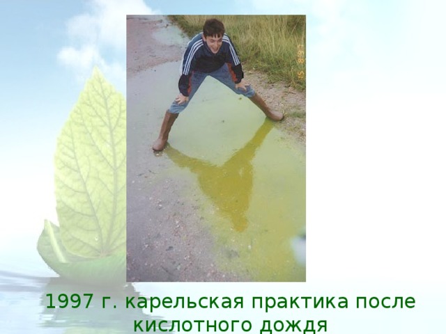 1997 г. карельская практика после кислотного дождя 