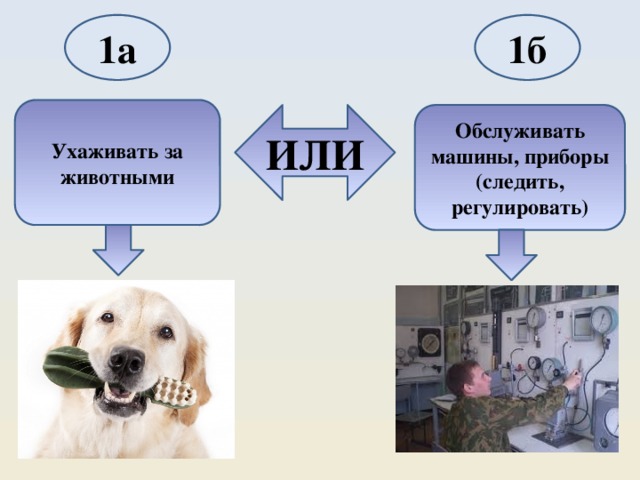 1а 1б Ухаживать за животными ИЛИ Обслуживать машины, приборы (следить, регулировать) 