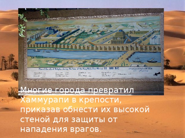 Многие города превратил Хаммурапи в крепости, приказав обнести их высокой стеной для защиты от нападения врагов. 