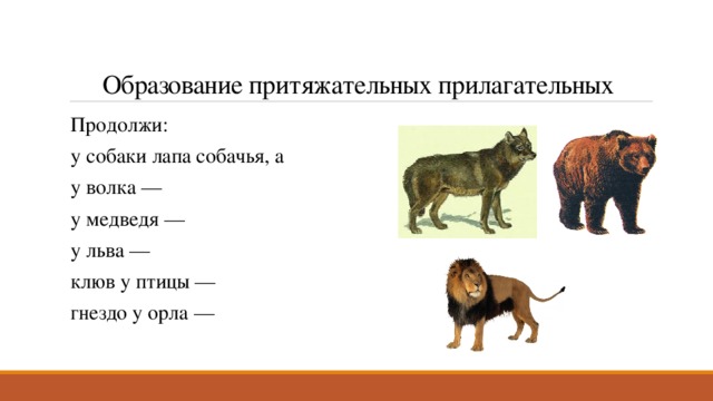 Образование притяжательных прилагательных Продолжи: у собаки лапа собачья, а у волка — у медведя — у льва — клюв у птицы — гнездо у орла — 