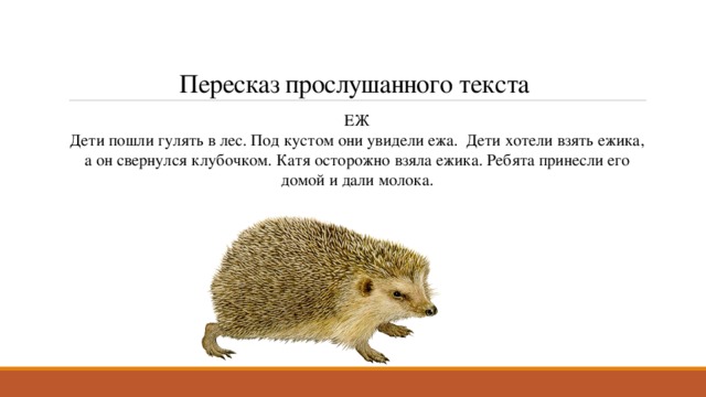 Пересказ прослушанного текста ЕЖ  Дети пошли гулять в лес. Под кустом они увидели ежа.  Дети хотели взять ежика, а он свернулся клубочком. Катя осторожно взяла ежика. Ребята принесли его домой и дали молока. 