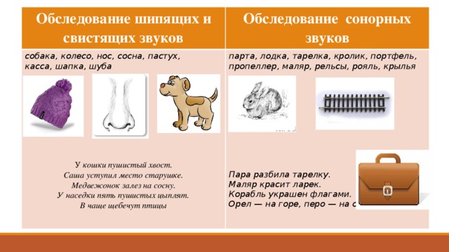 Обследование шипящих и свистящих звуков собака, колесо, нос, сосна, пастух, касса, шапка, шуба Обследование сонорных звуков парта, лодка, тарелка, кролик, портфель, пропеллер, маляр, рельсы, рояль, крылья         У  кошки пушистый хвост.   Саша уступил место старушке. Пара разбила тарелку. Медвежонок залез на сосну. Маляр красит ларек. У наседки пять пушистых цыплят. Корабль украшен флагами. В чаще щебечут птицы Орел  —  на горе, перо  —  на орле  
